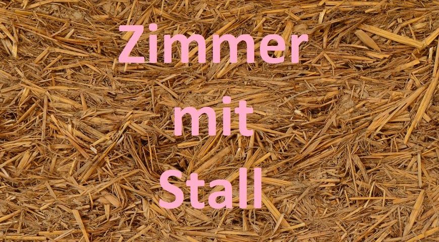 Du Bist Film -> komparse.tv